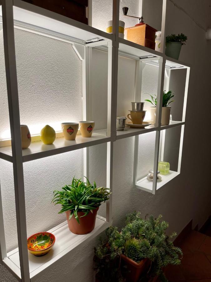 Rubra Apartments بارما المظهر الخارجي الصورة